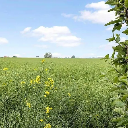 Ae273-soby-aero-rondal-7 Hébergement de vacances *