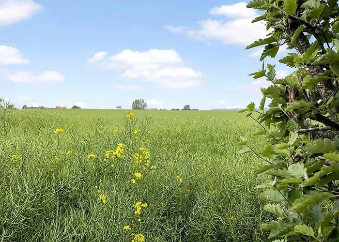 Ae273-soby-aero-rondal-7 Nyaraló *